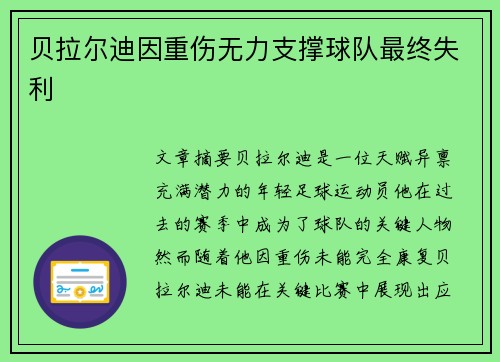 贝拉尔迪因重伤无力支撑球队最终失利 贝拉尔迪因重伤无力支撑球队最终失利